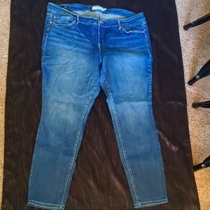 Torrid Skinny Jeans